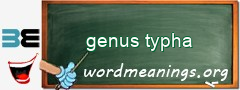 WordMeaning blackboard for genus typha